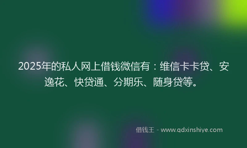 2025年的私人网上借钱微信有：维信卡卡贷、安逸花、快贷通、分期乐、随身贷等。