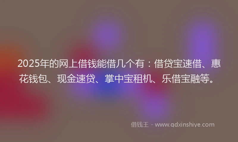 2025年的网上借钱能借几个有：借贷宝速借、惠花钱包、现金速贷、掌中宝租机、乐借宝融等。