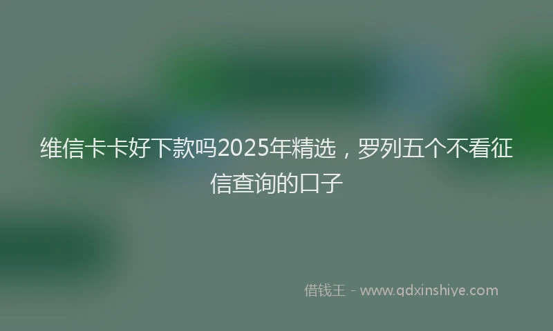 维信卡卡好下款吗2025年精选，罗列五个不看征信查询的口子