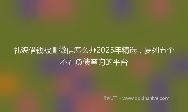 礼貌借钱被删微信怎么办2025年精选，罗列五个不看负债查询的平台