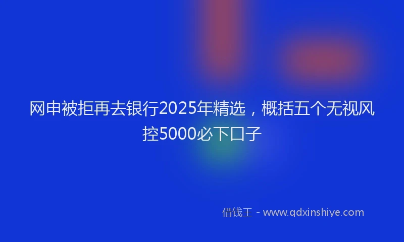 网申被拒再去银行2025年精选，概括五个无视风控5000必下口子