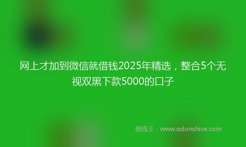 网上才加到微信就借钱2025年精选，整合5个无视双黑下款5000的口子