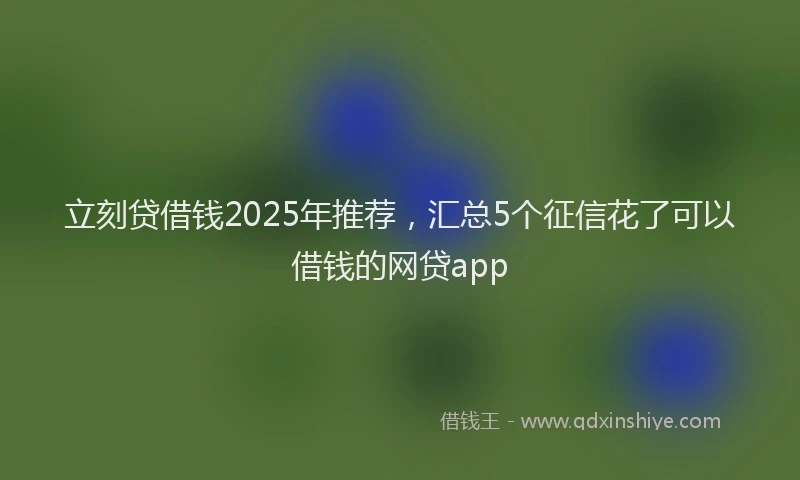 立刻贷借钱2025年推荐，汇总5个征信花了可以借钱的网贷app
