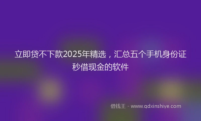 立即贷不下款2025年精选，汇总五个手机身份证秒借现金的软件