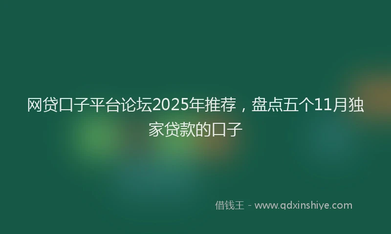 网贷口子平台论坛2025年推荐，盘点五个11月独家贷款的口子