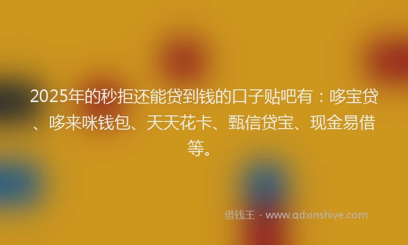 2025年的秒拒还能贷到钱的口子贴吧有：哆宝贷、哆来咪钱包、天天花卡、甄信贷宝、现金易借等。