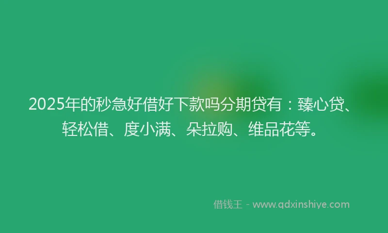 2025年的秒急好借好下款吗分期贷有：臻心贷、轻松借、度小满、朵拉购、维品花等。