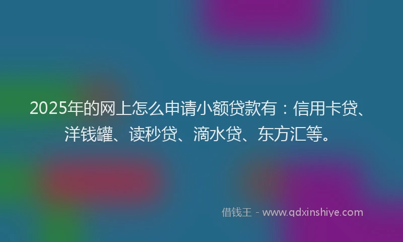 2025年的网上怎么申请小额贷款有：信用卡贷、洋钱罐、读秒贷、滴水贷、东方汇等。