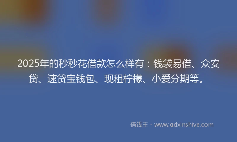 2025年的秒秒花借款怎么样有：钱袋易借、众安贷、速贷宝钱包、现租柠檬、小爱分期等。