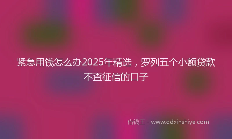 紧急用钱怎么办2025年精选，罗列五个小额贷款不查征信的口子