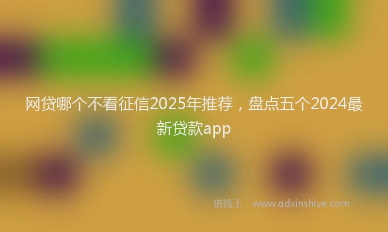 网贷哪个不看征信2025年推荐，盘点五个2024最新贷款app