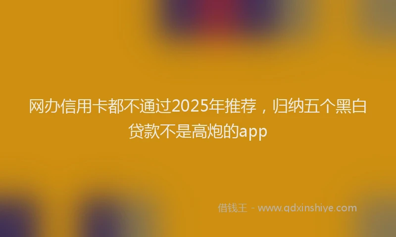 网办信用卡都不通过2025年推荐，归纳五个黑白贷款不是高炮的app
