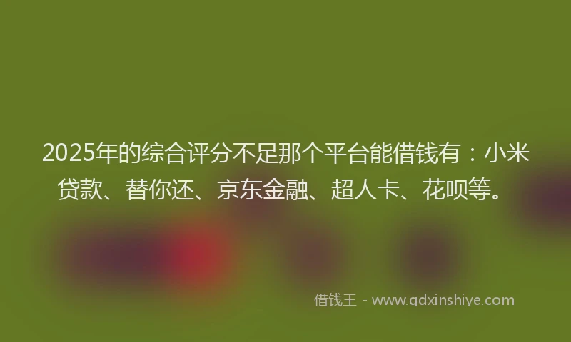 2025年的综合评分不足那个平台能借钱有：小米贷款、替你还、京东金融、超人卡、花呗等。