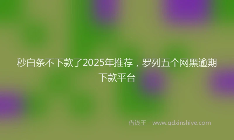 秒白条不下款了2025年推荐，罗列五个网黑逾期下款平台