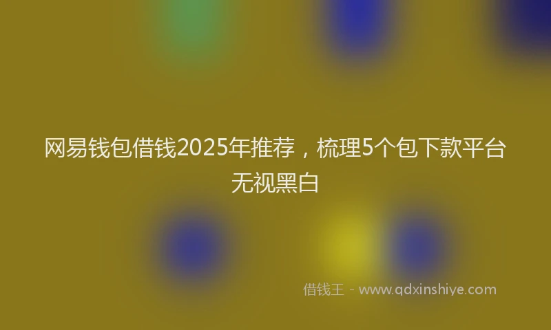 网易钱包借钱2025年推荐，梳理5个包下款平台无视黑白