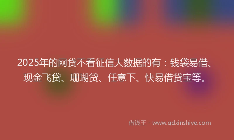 2025年的网贷不看征信大数据的有：钱袋易借、现金飞贷、珊瑚贷、任意下、快易借贷宝等。