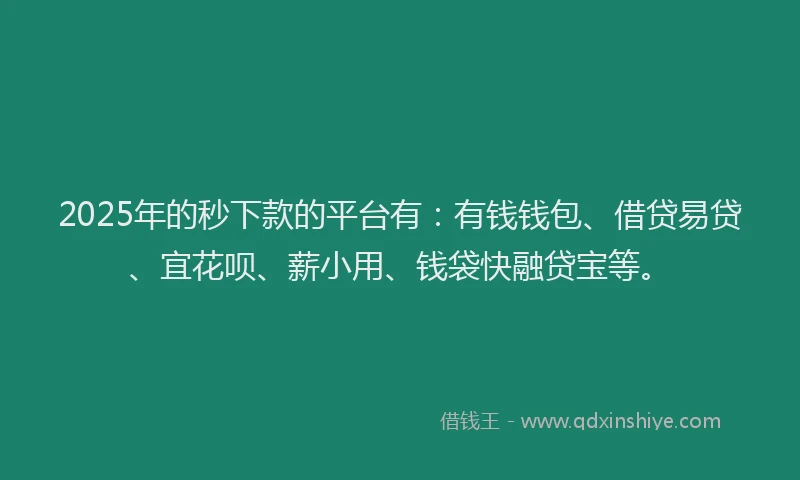2025年的秒下款的平台有：有钱钱包、借贷易贷、宜花呗、薪小用、钱袋快融贷宝等。