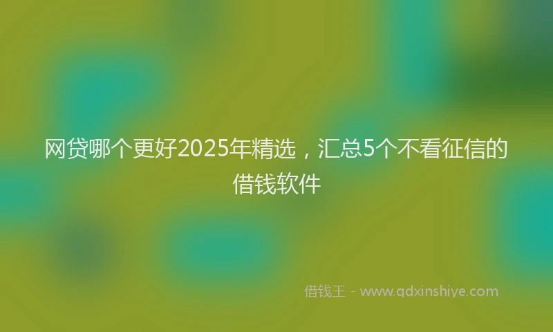 网贷哪个更好2025年精选，汇总5个不看征信的借钱软件