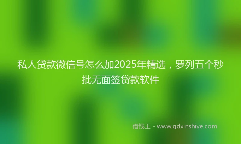 私人贷款微信号怎么加2025年精选，罗列五个秒批无面签贷款软件