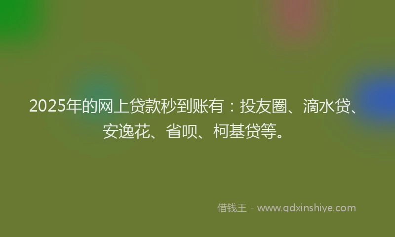 2025年的网上贷款秒到账有：投友圈、滴水贷、安逸花、省呗、柯基贷等。