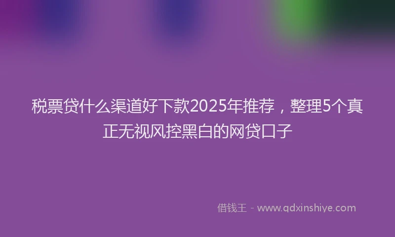 税票贷什么渠道好下款2025年推荐，整理5个真正无视风控黑白的网贷口子