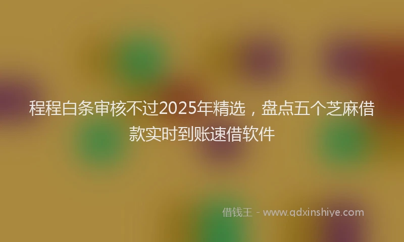 程程白条审核不过2025年精选，盘点五个芝麻借款实时到账速借软件
