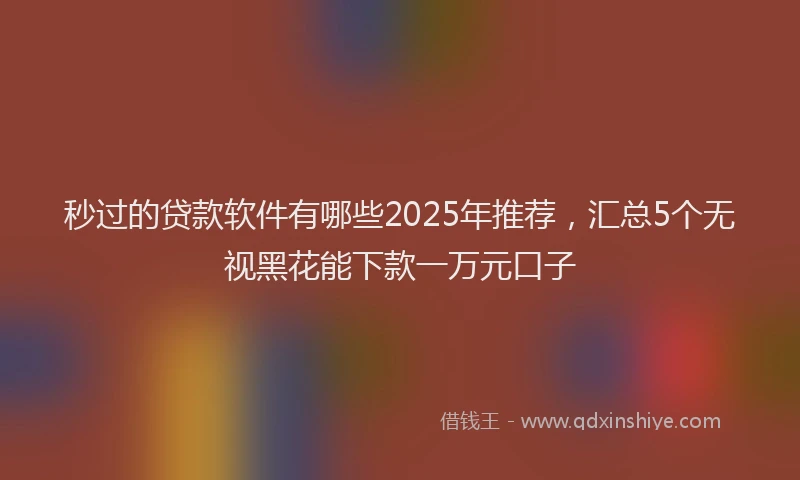 秒过的贷款软件有哪些2025年推荐，汇总5个无视黑花能下款一万元口子