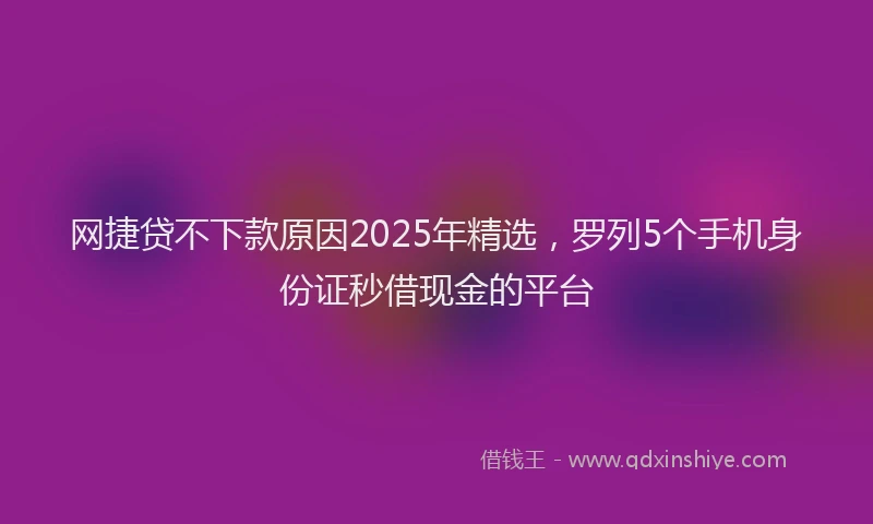 网捷贷不下款原因2025年精选，罗列5个手机身份证秒借现金的平台