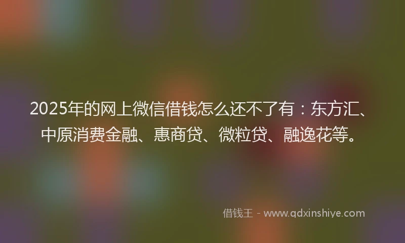 2025年的网上微信借钱怎么还不了有：东方汇、中原消费金融、惠商贷、微粒贷、融逸花等。