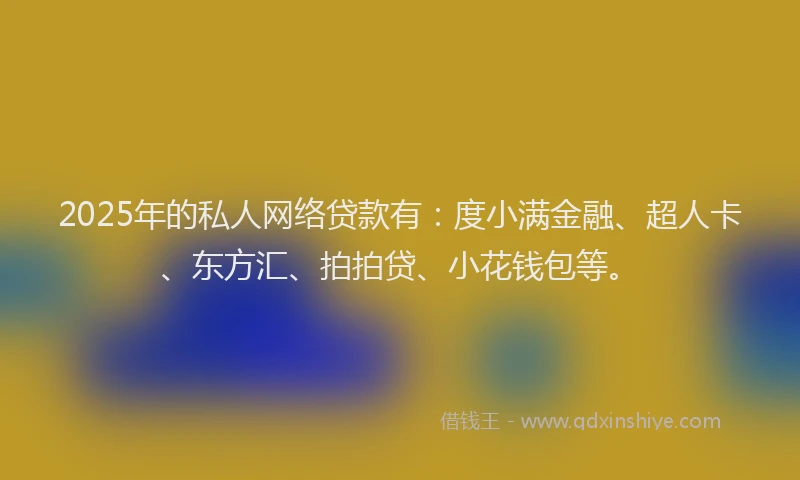 2025年的私人网络贷款有：度小满金融、超人卡、东方汇、拍拍贷、小花钱包等。