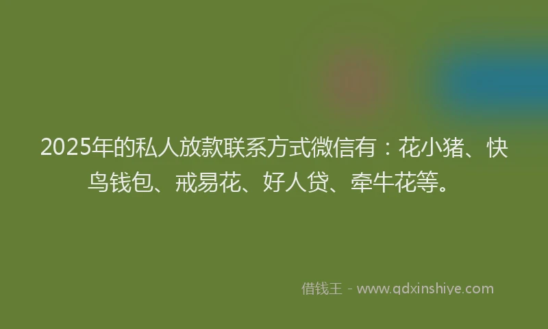 2025年的私人放款联系方式微信有：花小猪、快鸟钱包、戒易花、好人贷、牵牛花等。