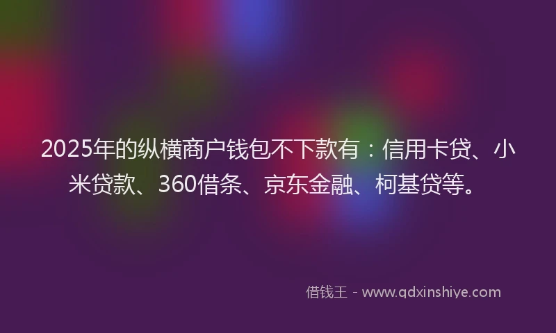 2025年的纵横商户钱包不下款有：信用卡贷、小米贷款、360借条、京东金融、柯基贷等。