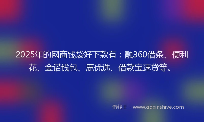 2025年的网商钱袋好下款有：融360借条、便利花、金诺钱包、鹿优选、借款宝速贷等。