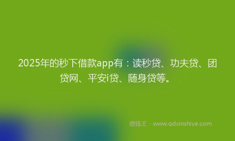 2025年的秒下借款app有：读秒贷、功夫贷、团贷网、平安i贷、随身贷等。