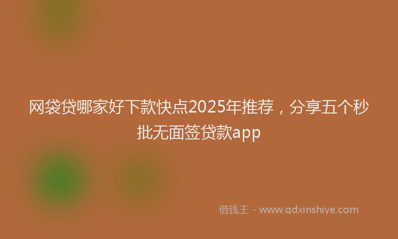 网袋贷哪家好下款快点2025年推荐，分享五个秒批无面签贷款app