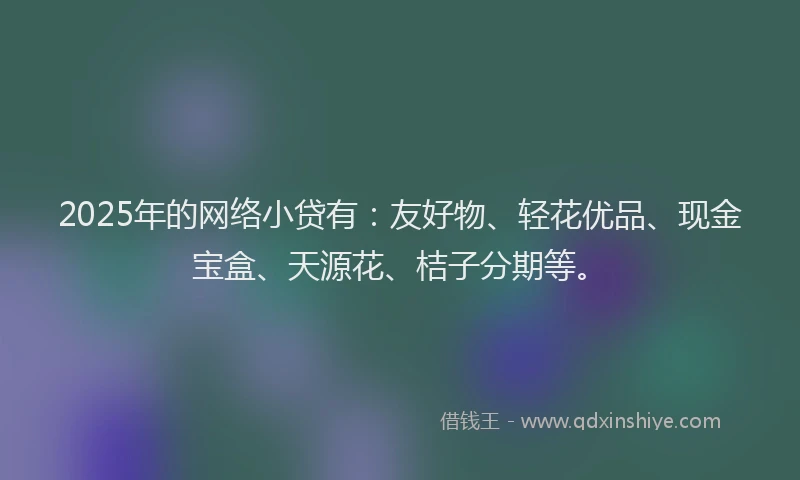 2025年的网络小贷有：友好物、轻花优品、现金宝盒、天源花、桔子分期等。