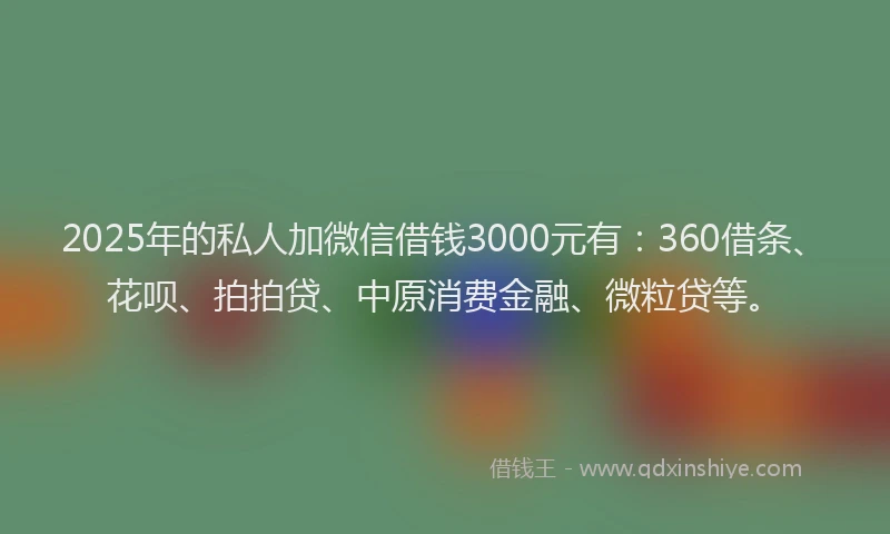 2025年的私人加微信借钱3000元有：360借条、花呗、拍拍贷、中原消费金融、微粒贷等。