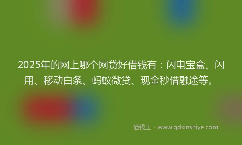 2025年的网上哪个网贷好借钱有：闪电宝盒、闪用、移动白条、蚂蚁微贷、现金秒借融途等。