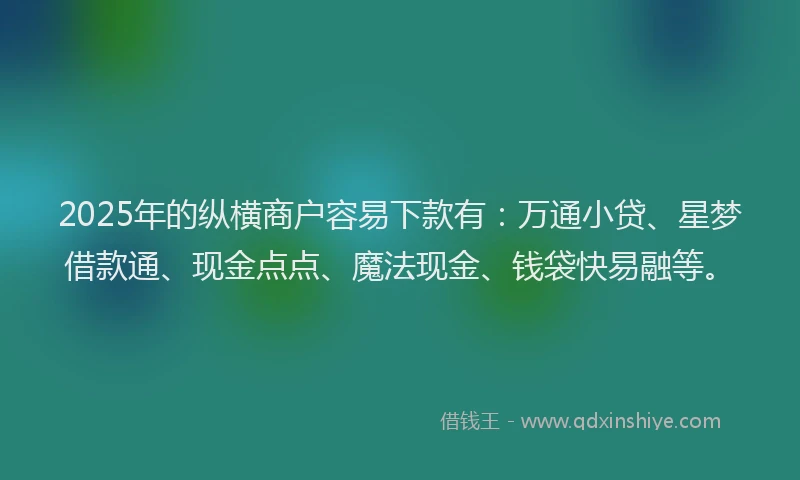 2025年的纵横商户容易下款有：万通小贷、星梦借款通、现金点点、魔法现金、钱袋快易融等。
