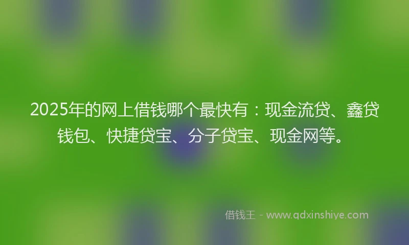 2025年的网上借钱哪个最快有：现金流贷、鑫贷钱包、快捷贷宝、分子贷宝、现金网等。