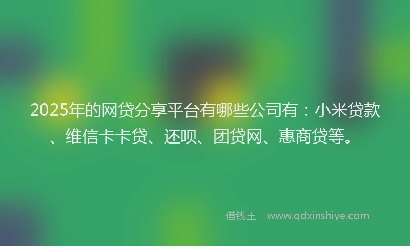 2025年的网贷分享平台有哪些公司有：小米贷款、维信卡卡贷、还呗、团贷网、惠商贷等。