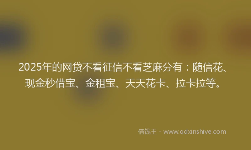 2025年的网贷不看征信不看芝麻分有：随信花、现金秒借宝、金租宝、天天花卡、拉卡拉等。