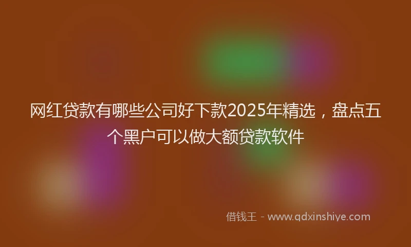 网红贷款有哪些公司好下款2025年精选，盘点五个黑户可以做大额贷款软件