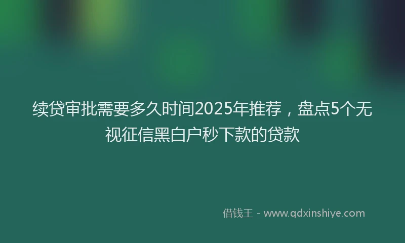 续贷审批需要多久时间2025年推荐，盘点5个无视征信黑白户秒下款的贷款