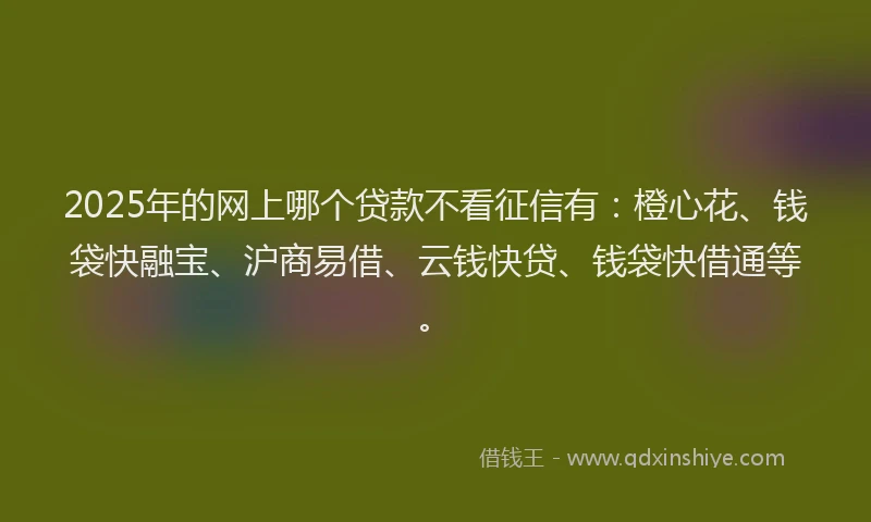 2025年的网上哪个贷款不看征信有：橙心花、钱袋快融宝、沪商易借、云钱快贷、钱袋快借通等。