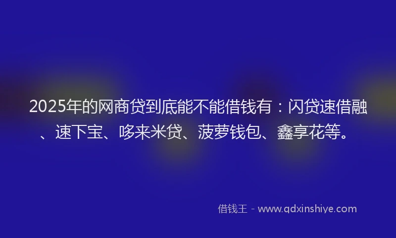 2025年的网商贷到底能不能借钱有：闪贷速借融、速下宝、哆来米贷、菠萝钱包、鑫享花等。