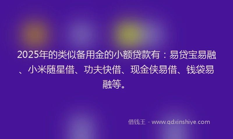 2025年的类似备用金的小额贷款有：易贷宝易融、小米随星借、功夫快借、现金侠易借、钱袋易融等。