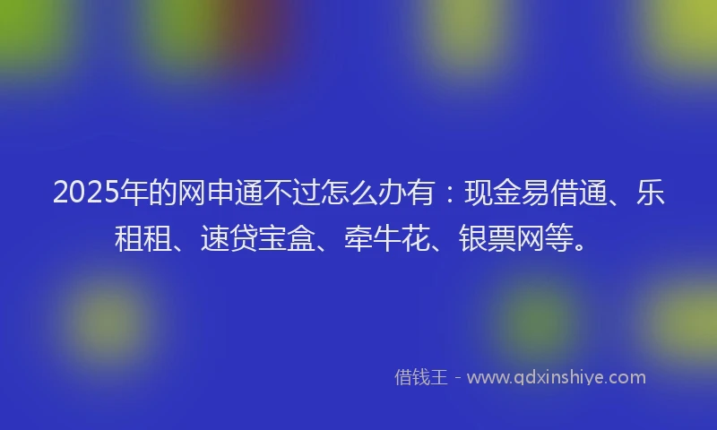 2025年的网申通不过怎么办有：现金易借通、乐租租、速贷宝盒、牵牛花、银票网等。