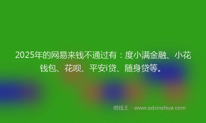 2025年的网易来钱不通过有：度小满金融、小花钱包、花呗、平安i贷、随身贷等。