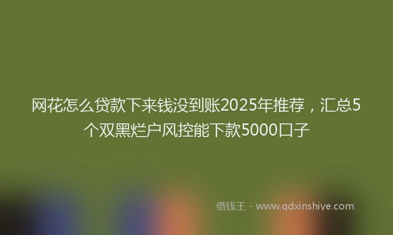 网花怎么贷款下来钱没到账2025年推荐，汇总5个双黑烂户风控能下款5000口子